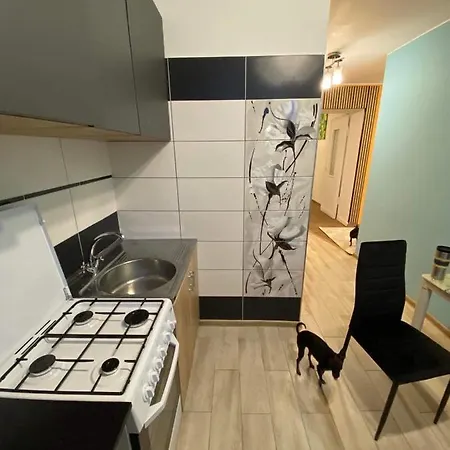 Apartment Butas Prie Zalgirio Arenos